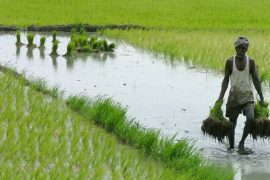 agricultural tech india