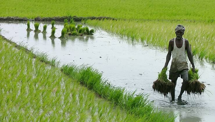 agricultural tech india